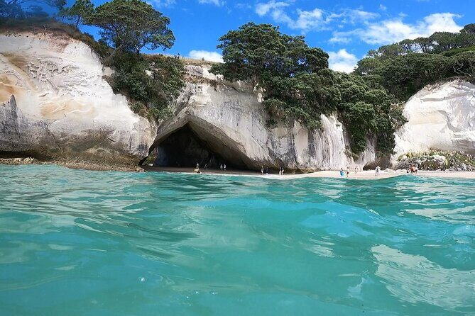 Cathedral Cove & Coromandel, Small-Group Tour from Auckland - Final Thoughts