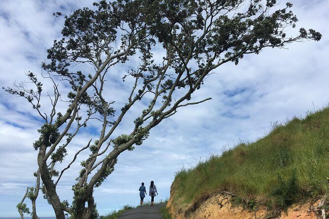 Cathedral Cove Day Trip from Auckland - Good To Know