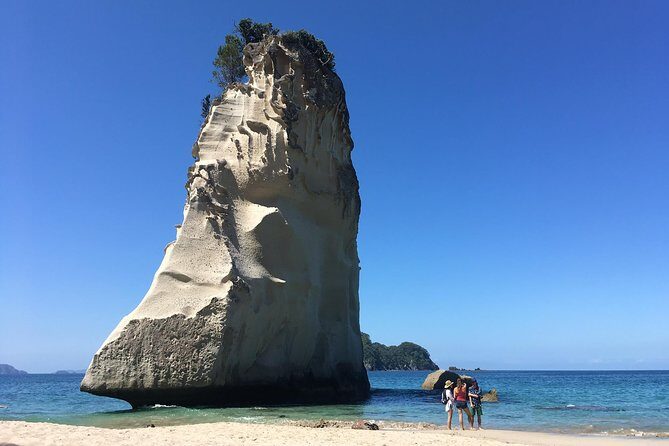 Cathedral Cove Day Trip from Auckland - The Sum Up: Is This Tour Worth It?
