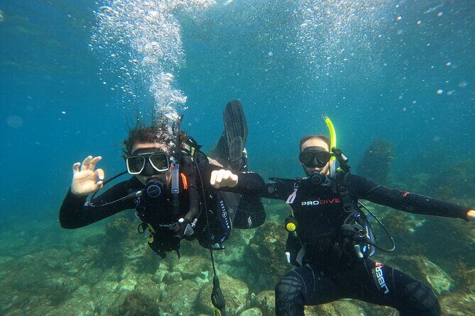 Cathedral Cove Dive & Snorkel- Marine Reserve specialised trips - Practical Details That Matter