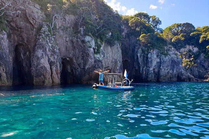 Cathedral Cove Dive & Snorkel- Marine Reserve specialised trips - Who Is This Tour Best For?