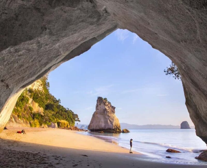 Cathedral Cove Electric Fat Tyre Bike Tour with Local Guide - The Full Experience: What to Expect from the Cathedral Cove Electric Fat Tyre Bike Tour