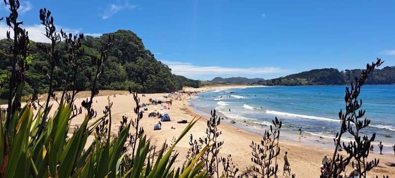 Cathedral Cove & Hot Water Beach Day Tour with Lunch - What the small-group format changes