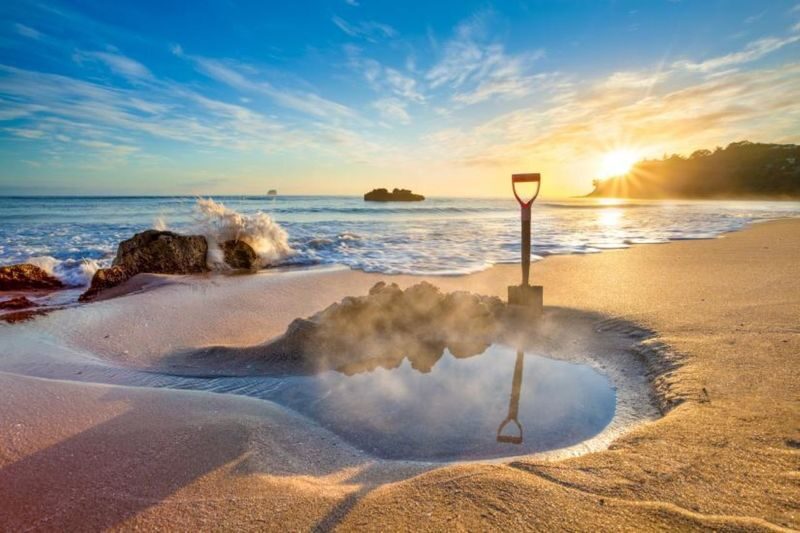Cathedral Cove & Hot Water Beach Day Tour with Lunch - Is the price good value?