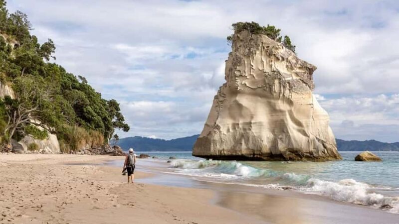 Cathedral Cove & Hot Water Beach Private Tour From Auckland - Good To Know