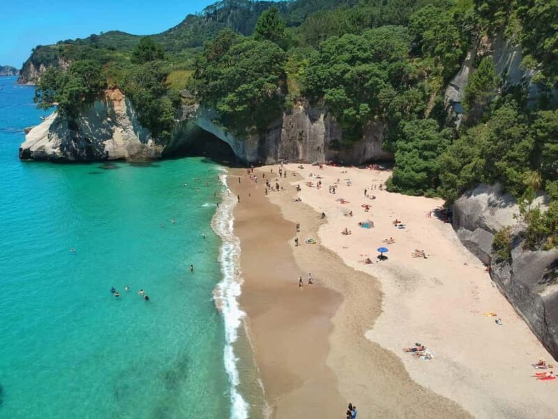 Cathedral Cove & Hot Water Beach Private Tour From Auckland - Analyzing the Cost and Value