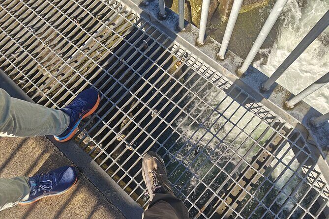 Cathedral Cove & Hot Water Beach with Lunch from Auckland - Who Is This Tour Best For?