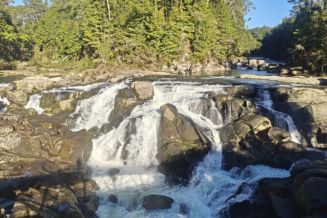 Cathedral Cove & Hot Water Beach with Lunch from Auckland - Final Thoughts