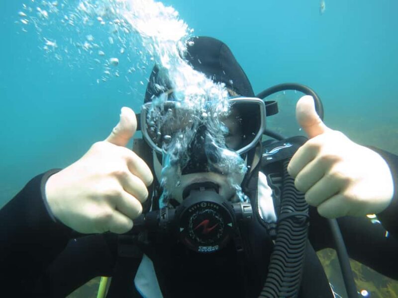 Cathedral Cove Marine Reserve: Snorkeling Boat Trip - Final Thoughts on the Tours Appeal