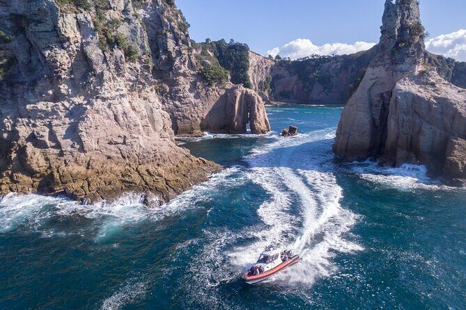 Cathedral Cove Scenic Cruises Whitianga - Good To Know