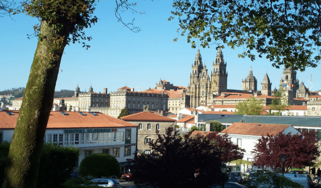 Cathedral of Santiago + Museum + Tour of the Historic Center - Important Information
