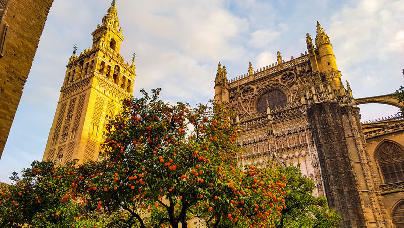 Cathedral of Seville and Giralda Tour - The meeting point deserves extra care