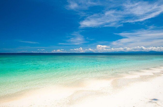 Catlina Island | Free Diving and Transportation - Who Is This Tour Best For?