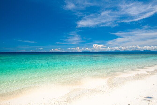 Catlina Island | Free Diving and Transportation - Final Thoughts