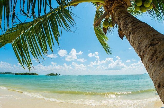 Catlina Island | Free Diving and Transportation - FAQ