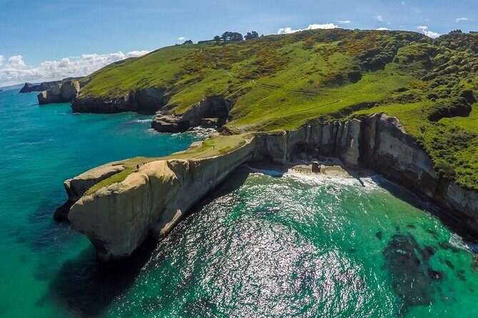 Catlins Cruiser Private Tour from Dunedin Cruise Port - Good To Know