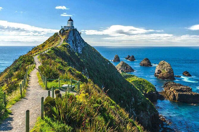 Catlins Cruiser Private Tour from Dunedin Cruise Port - What to Expect from the Catlins Cruiser Private Tour