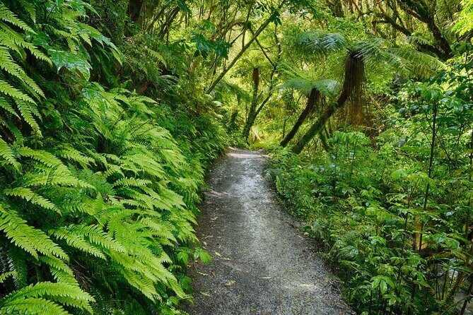 Catlins Cruiser Private Tour from Dunedin Cruise Port - Frequently Asked Questions