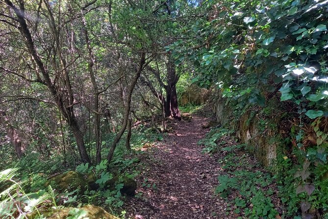 Cavagrande Hiking Tour - Additional Information