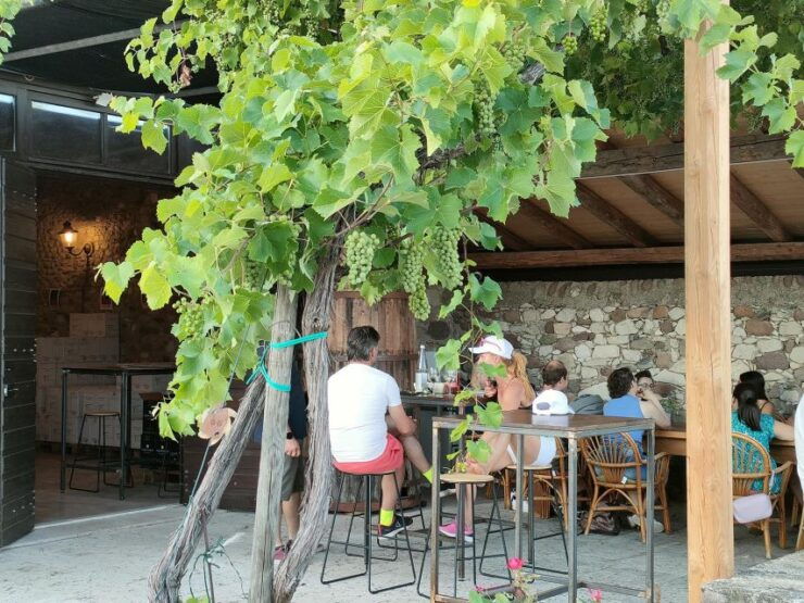 Cavaion: Lake Garda Wine & Food Tasting With Vineyard Tour - Accessibility and Cancellation Policy