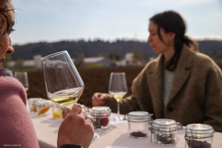 Cavaion: Organic 4 Wines Tasting and Aroma Experience - Activity Details