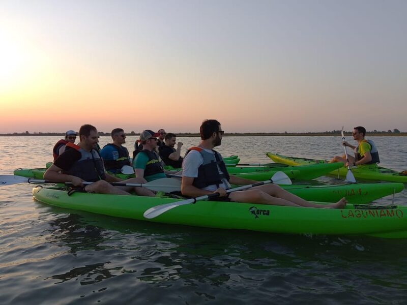 Cavallino: Sunset Kayak Tour in the Venetian Lagoon - Introduction: A Unique Way to Experience Venices Natural Beauty