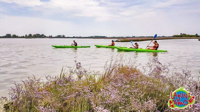 Cavallino-Treporti: Short Kayak Tour in the Venetian Lagoon - Exploring the Venetian Lagoon on a Kayak