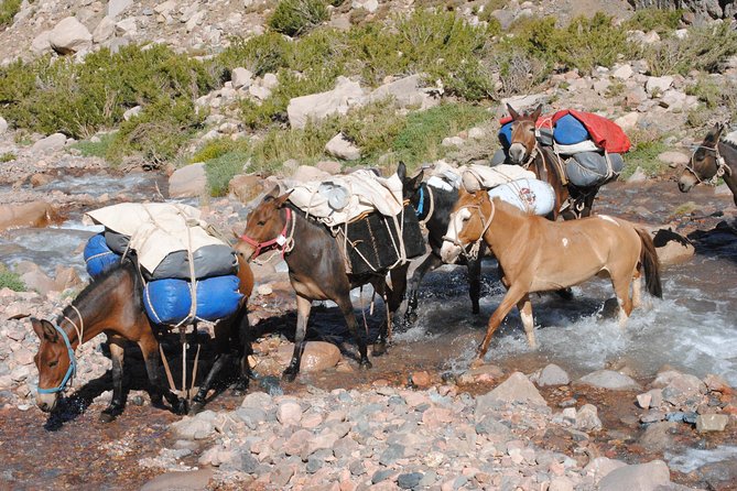 Cavalry Crossing of the Andes Sanmartinian Crossing - Route Details and Itinerary Highlights