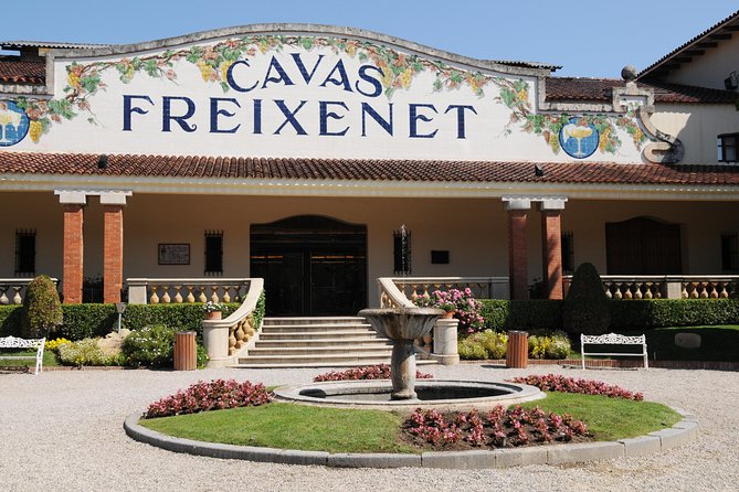 Cavas Freixenet Wine Tour From Mexico City - Wine-making Process and Cellar Exploration