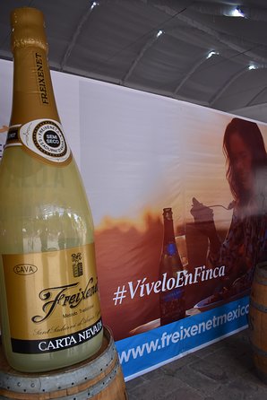 Cavas Freixenet Wine Tour From Mexico City - Visit to Tepozotlán: Exploring Colonial Architecture