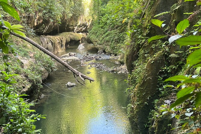 Cave Adventure: Canyon and Hidden Waterfall in Charco Azul - The Sum Up
