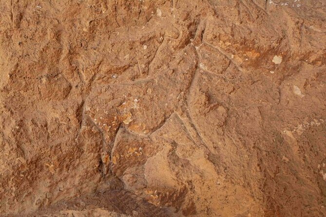 Cave Painting and Ancient War Scene Tour From Dahab - Confirmation and Accessibility