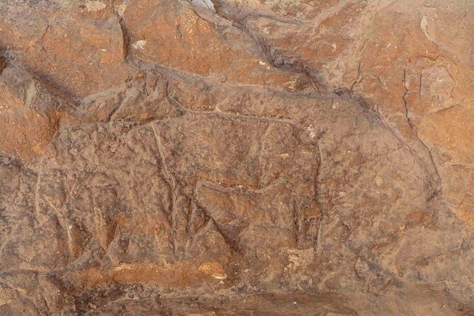 Cave Painting and Ancient War Scene Tour From Dahab - Cancellation Policy