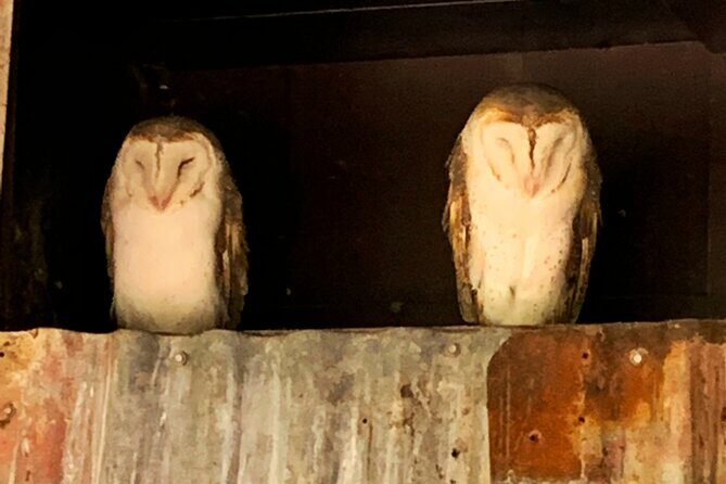 Caversham Wildlife and Swan Valley Private Tour - Who Is This Tour Best For?