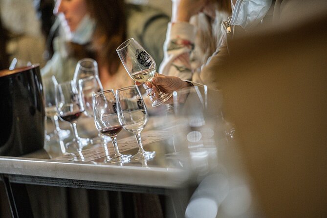 Caves Ambacia, Tour and Wine Tasting in Amboise, Loire Valley - Pricing and Booking