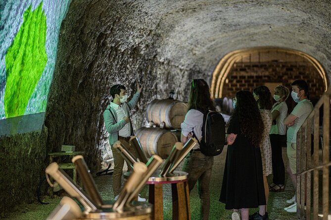 Caves Ambacia, Tour and Wine Tasting in Amboise, Loire Valley - The Sum Up