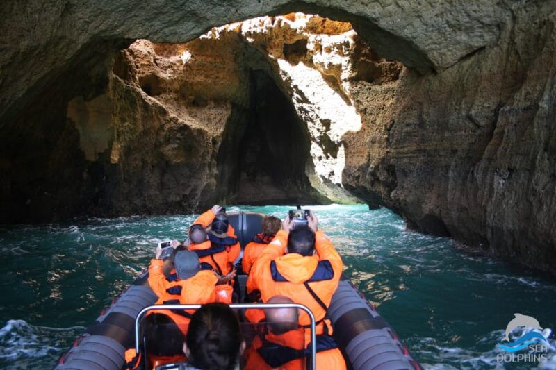 Caves & Dolphins - Combined Trip - Good To Know