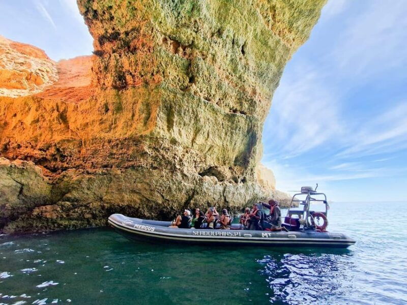 Caves & Dolphins - Combined Trip - The Authentic Experience: What Travelers Say