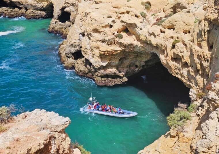 Caves & Dolphins - Combined Trip - The Sum Up