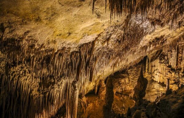 Caves of Drach: Entrance, Music Concert and Boat Trip - Inclusions and Pricing