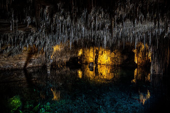 Caves of Drach Tour From Magaluf and Santa Ponsa - Price and Booking Details