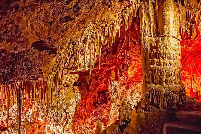 Caves of Genova Admission in Palma de Mallorca - Who Might Be Better Served Elsewhere?