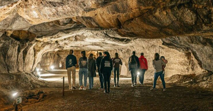 Caves Prehistory of Esplugues Francolí - Good To Know