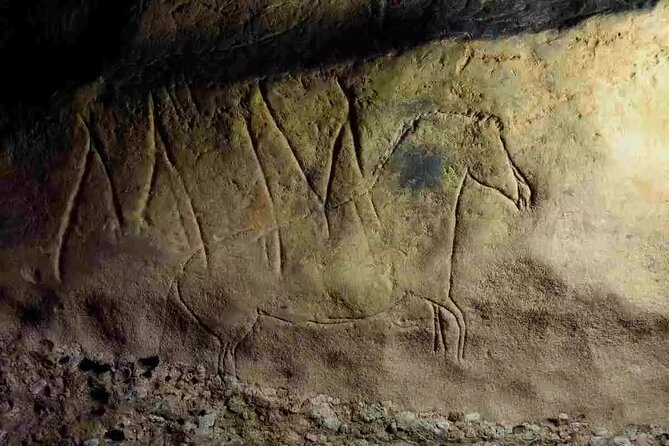 Caves Prehistory of Esplugues Francolí - Reviews