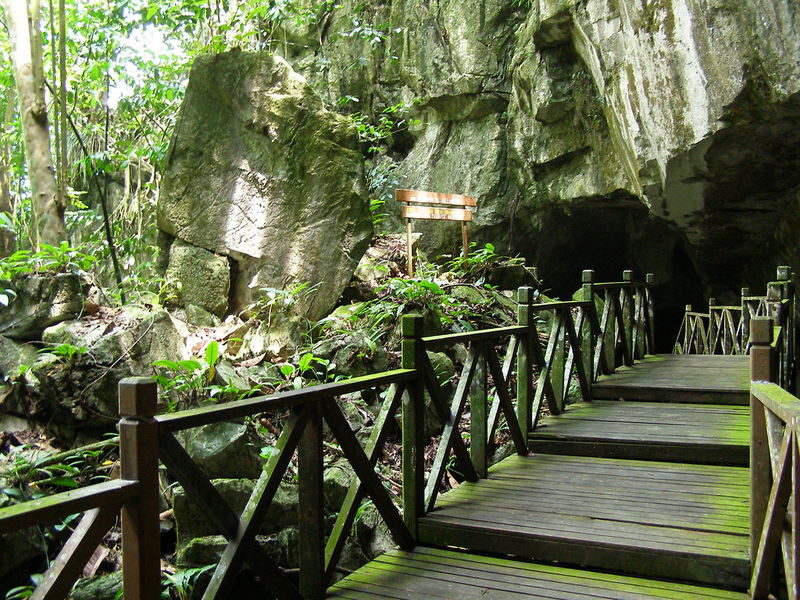 Caving Adventure in Sarawak - Guides, wildlife, and lunch add context