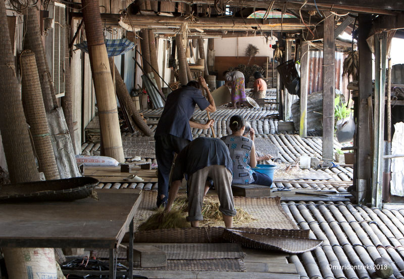 Caving and Semenggoh Wildlife Centre or Annah Rais Longhouse Tour in Kuching - At a glance