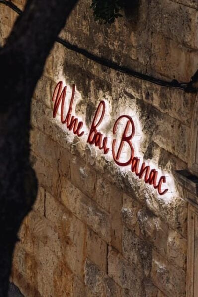 Cavtat: Banac Museum Entrance Ticket and Guided Tour - Highlights of the Art Collection