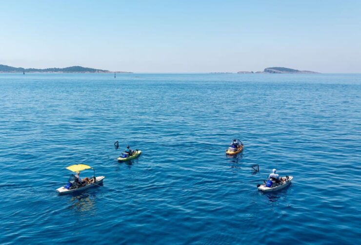 Cavtat: Fishing Duo at Sunrise or Sunset - Good To Know