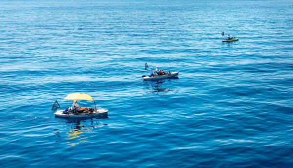 Cavtat: Fishing Duo at Sunrise or Sunset - Preparing for Your Trip