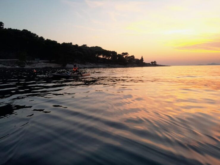 Cavtat: Guided Sea Kayaking Tour - What to Expect